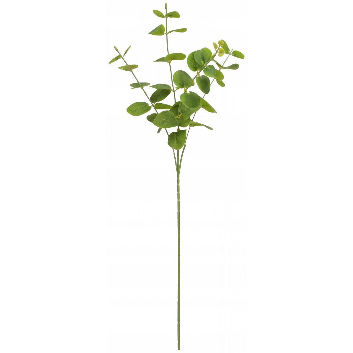 Kwiaty gałązka eukaliptus 63 cm Home And Garden (2006)