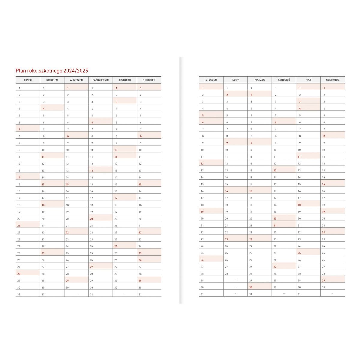 Kalendarz nauczyciela książkowy (terminarz) B6TN089B- Wydawnictwo Wokół Nas 2024/2025 B6 PCV bezbarwny B6 (MOTYLE)