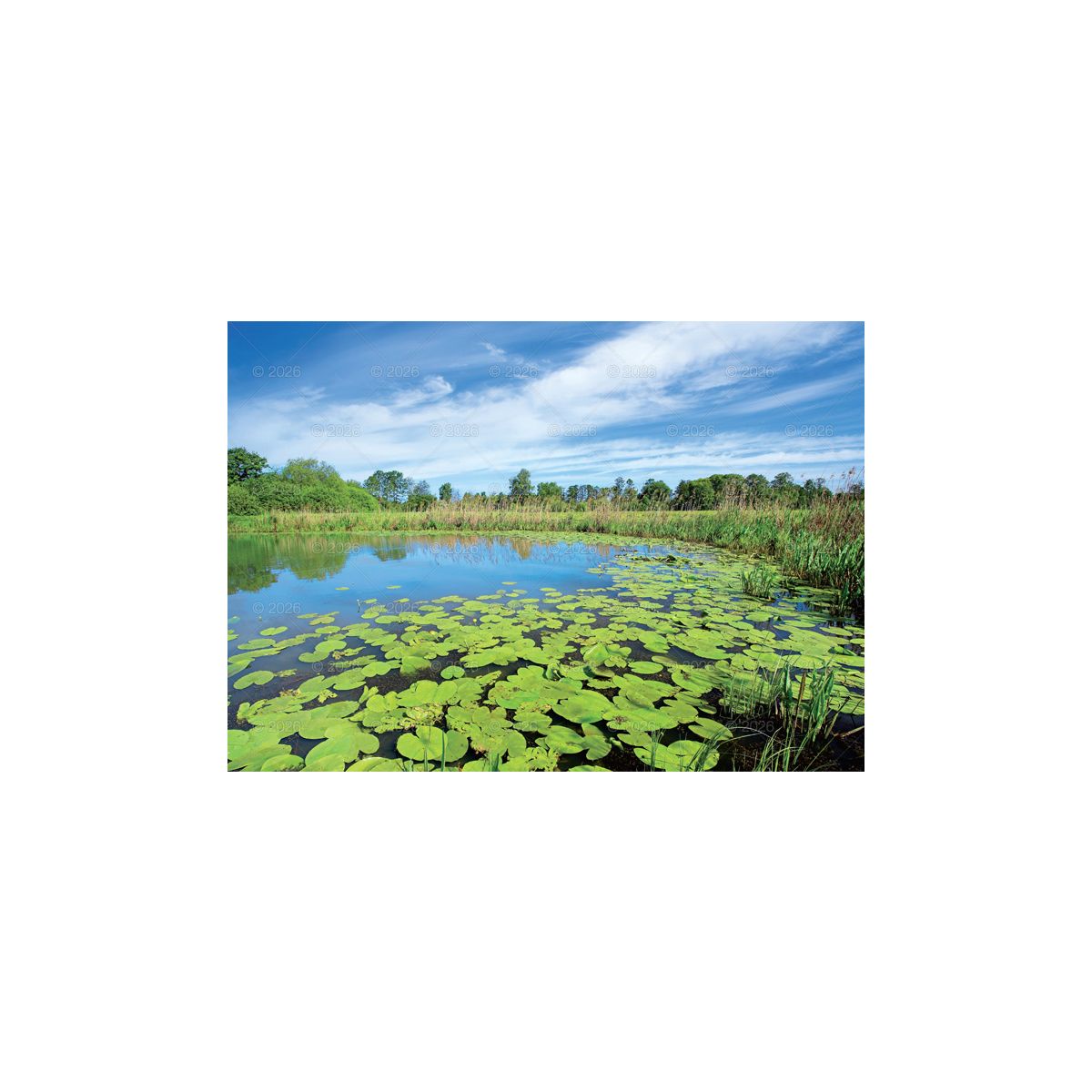 Kalendarz ścienny Pejzaże Polski rodzinny 2023 280mm x 200mm Lucrum (WL03)