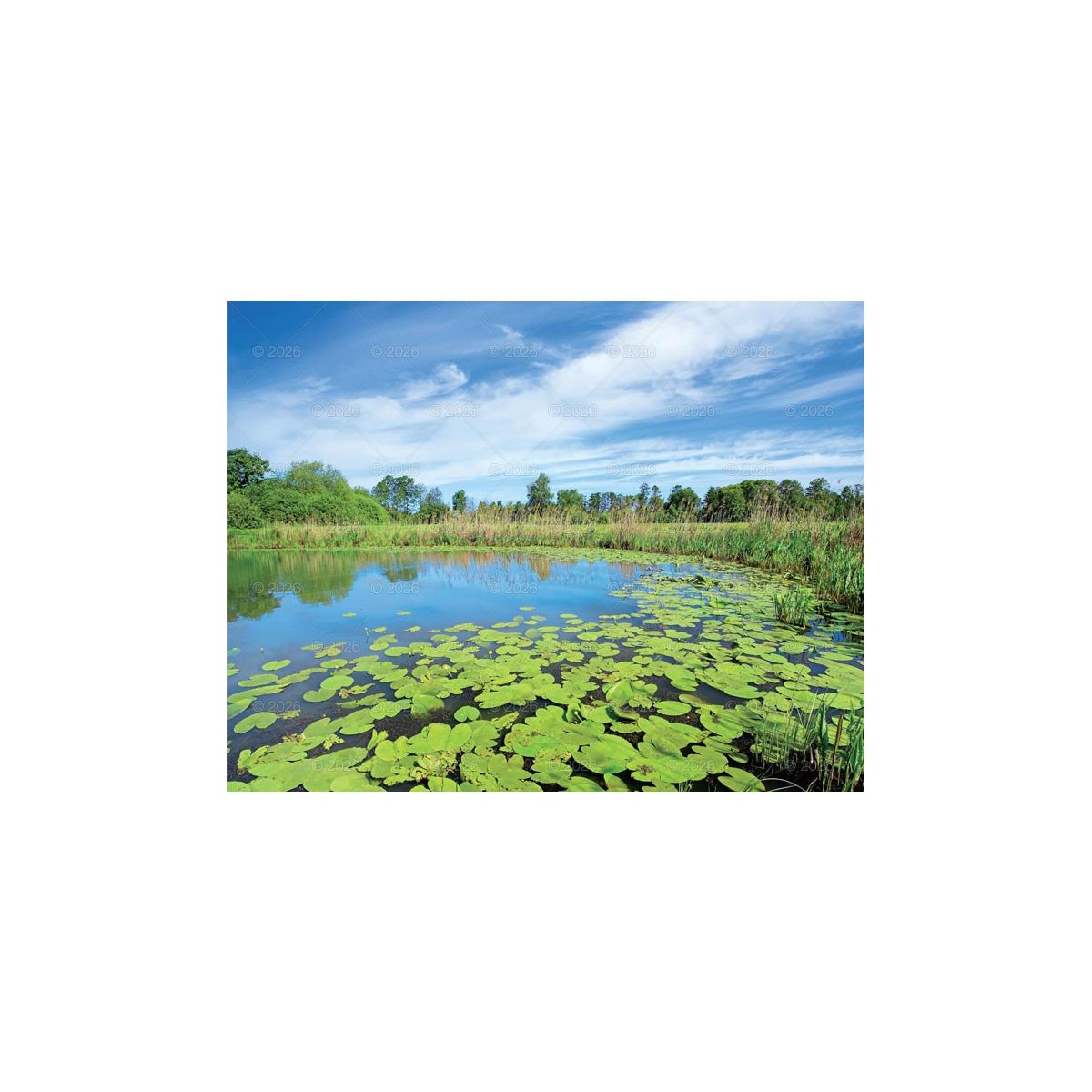Kalendarz ścienny (401000) k:2915-377 PEJZAŻE POLSKIE 13-planszowe 320mm x 470mm Lucrum (RW01)