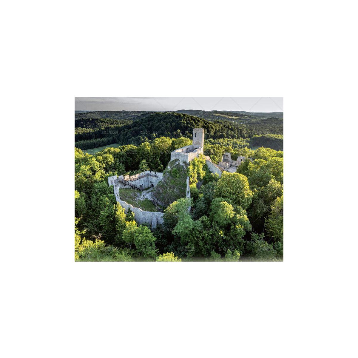 Kalendarz ścienny (401000) k:2915-377 LASY POLSKIE 13-planszowe 2024 320mm x 470mm Lucrum (RW04)