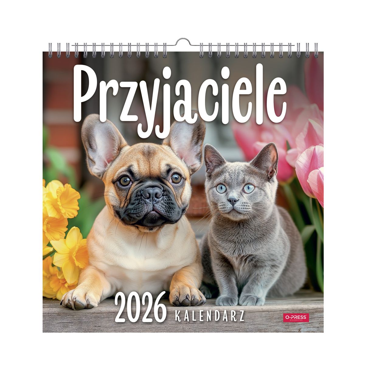 Kalendarz ścienny (401000) k:2915-377 Przyjaciele 33x33 330mm x 330mm Press