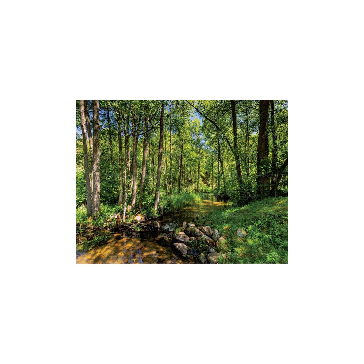 Kalendarz ścienny (401000) k:2915-377 13-planszowe 320mm x 470mm Lucrum (RW04)