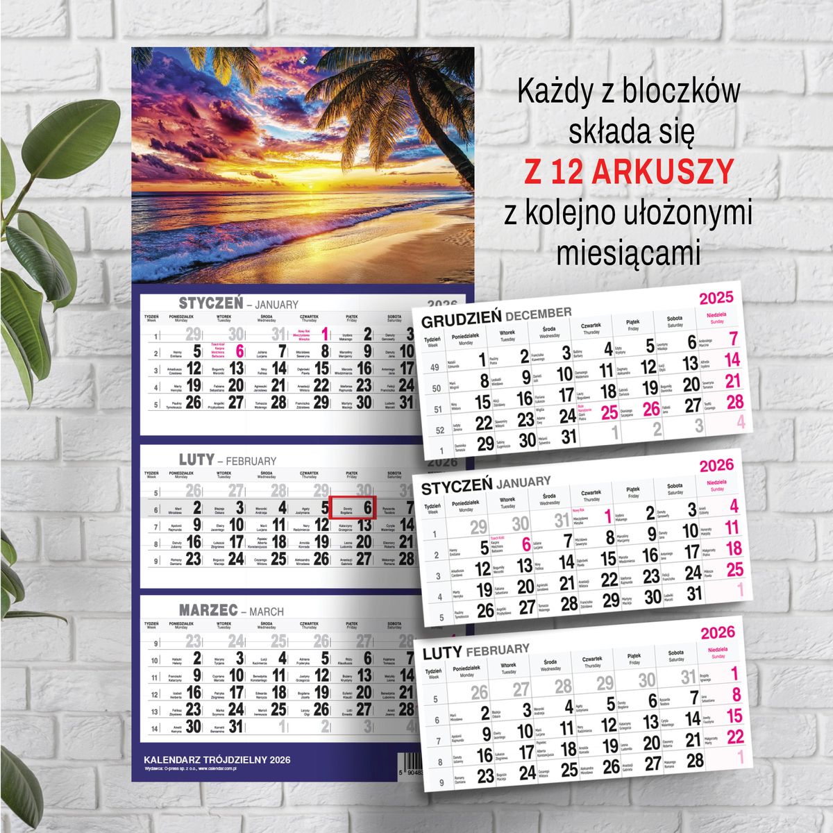 Kalendarz ścienny (401000) k:2915-377 PLAŻA A4 210mm x 450mm Press
