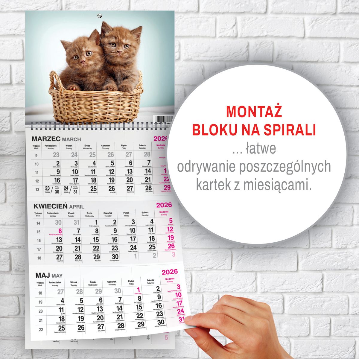 Kalendarz ścienny (401000) k:2915-377 KOT 310mm x 790mm Press