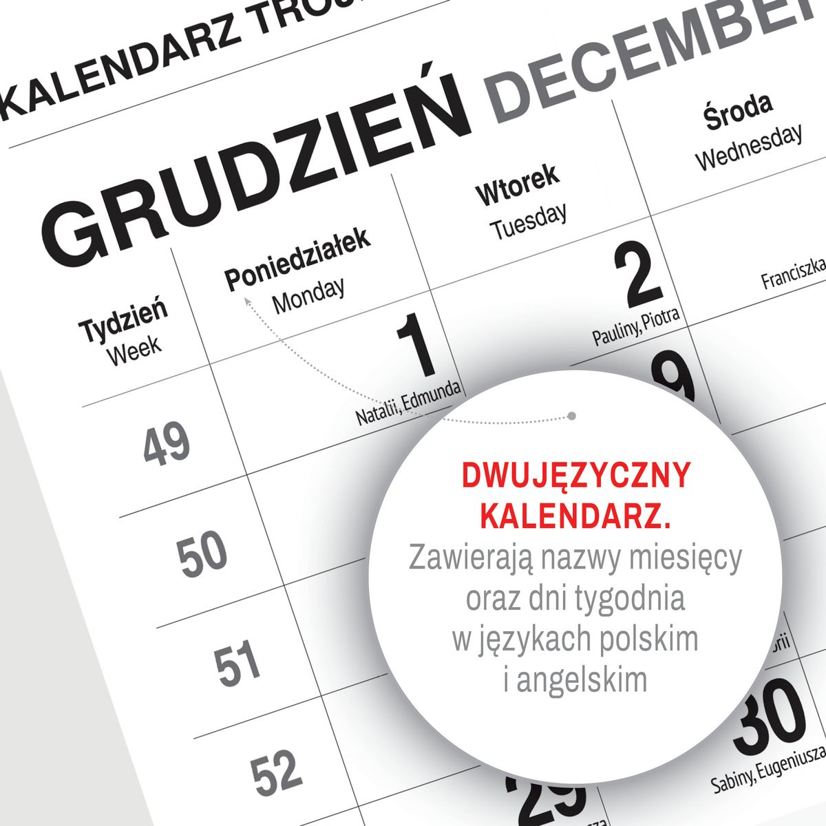 Kalendarz ścienny (401000) k:2915-377 KOT 310mm x 790mm Press