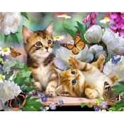Zestaw kreatywny Norimpex malowanie po numerach - kotki i motylki 40x50cm (NO-1009535)