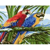 Zestaw kreatywny Norimpex malowanie po numerach - dwie papugi 40x50cm (NO-1008934)