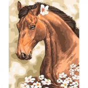 Zestaw kreatywny Norimpex malowanie po numerach -koń z kwiatkami (NO-1007666)