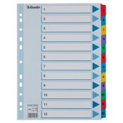 Przekładka numeryczna Esselte Mylar kartonowe A4 mix kolorów 160g 12k 1-12 (100162)