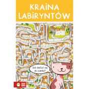 Książeczka edukacyjna Zielona Sowa Kraina labiryntów