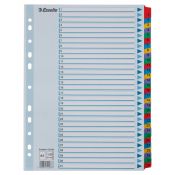 Przekładka numeryczna Esselte Mylar kartonowe A4 mix kolorów 160g 31k 1-31 (100164)