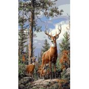 Zestaw kreatywny Norimpex malowanie po numerach - jelenie na wzgórzu 40x50cm (NO-1008979)
