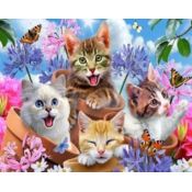 Zestaw kreatywny Norimpex malowanie po numerach - szczęśliwe kotki (NO-1005545)