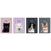 Zeszyt Interdruk PUPPY SIGN A5 32k. 70g linia kolor