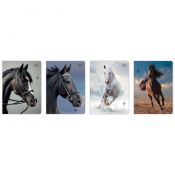 Zeszyt Interdruk WILD HORSES A5 32k. 70g krata