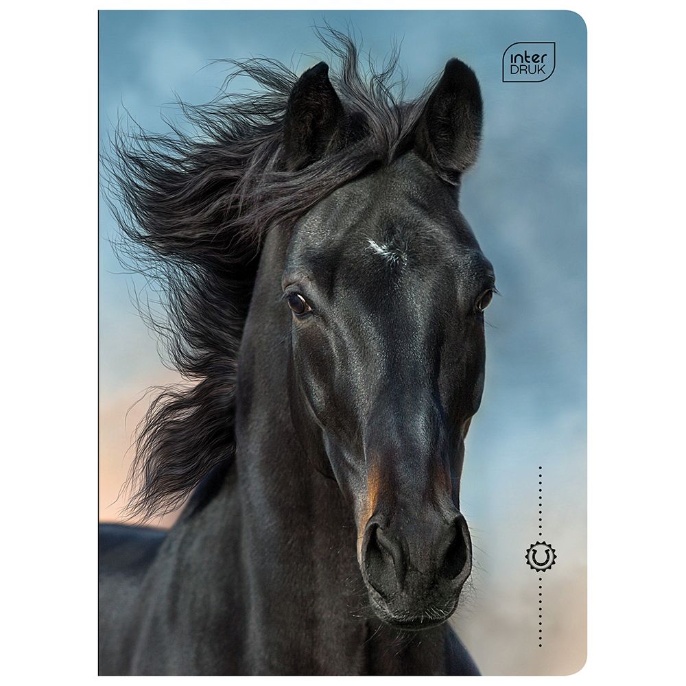 Zeszyt Interdruk WILD HORSES A5 16k. 70g linia kolor