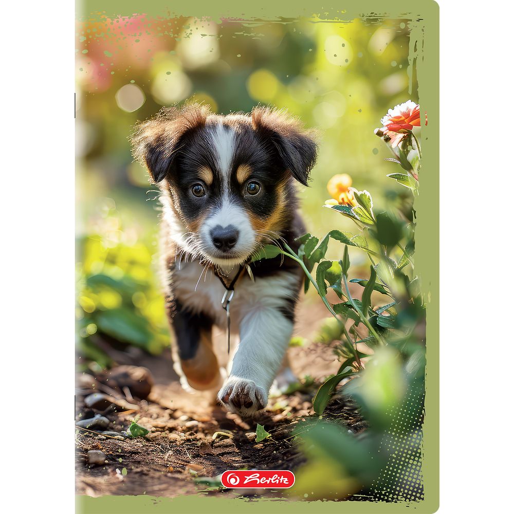 Zeszyt Herlitz Animals A5 16k. 70g gładki (400196854)