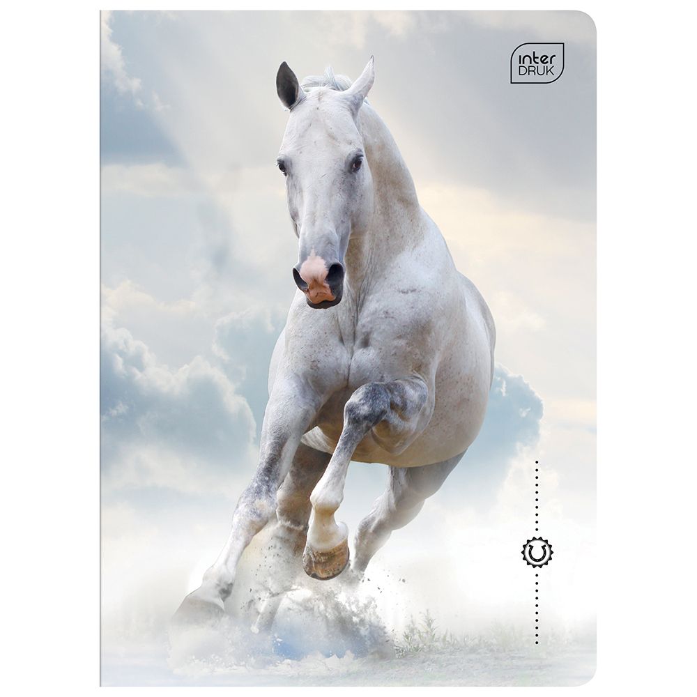 Zeszyt Interdruk WILD HORSES A5 32k. 70g krata