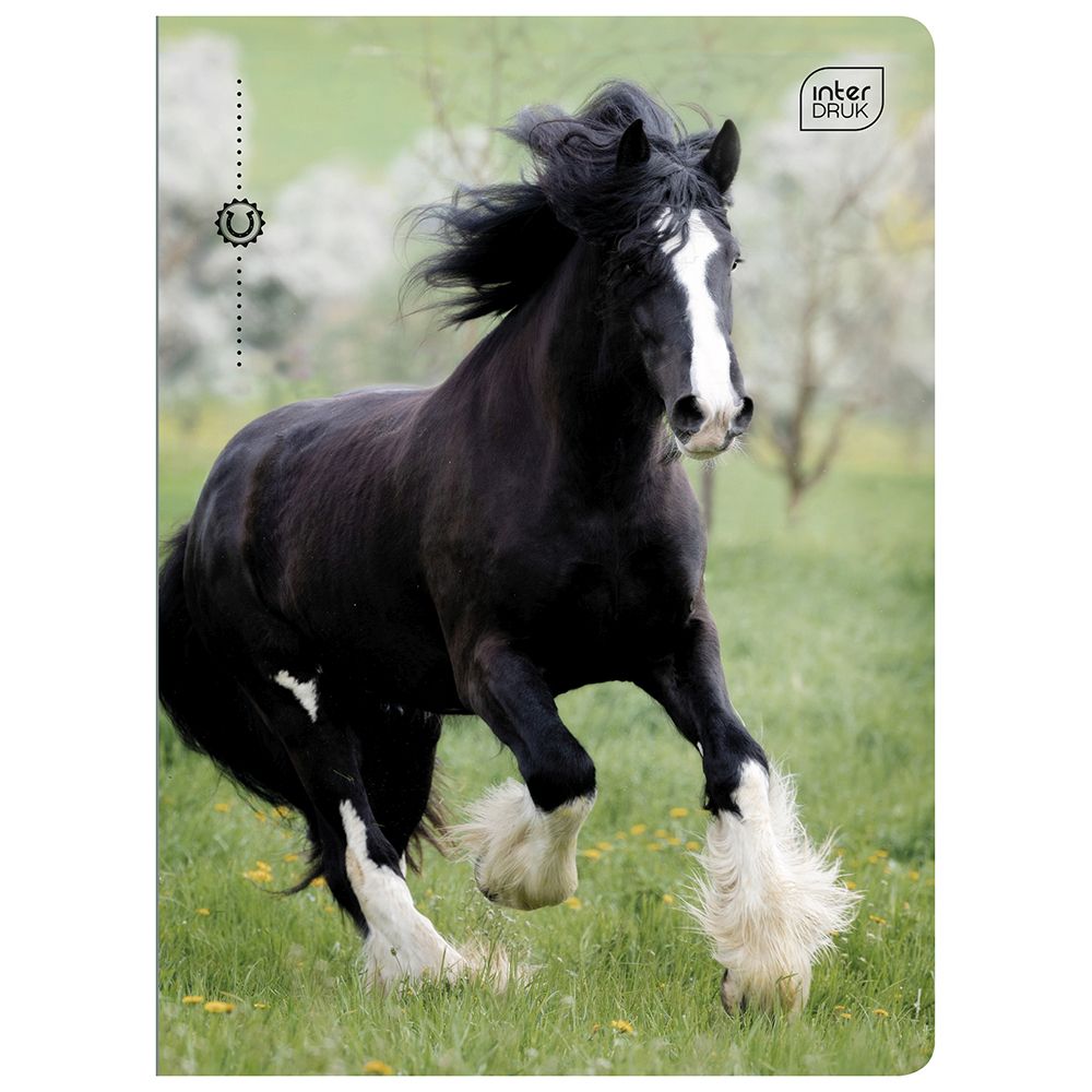 Zeszyt Interdruk A5 32k. 70g trzy linie