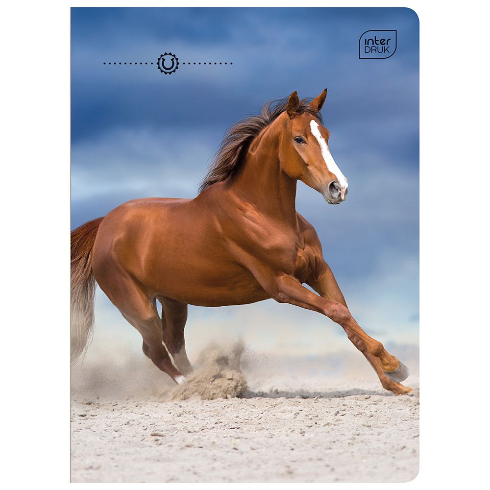 Zeszyt Interdruk WILD HORSES A5 16k. 70g linia kolor