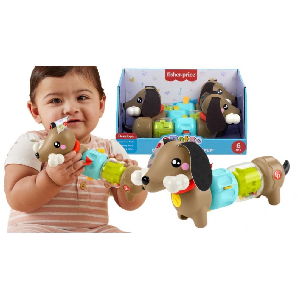 Zabawka edukacyjna Fisher Price jamnik aktywizujący (HTW91)