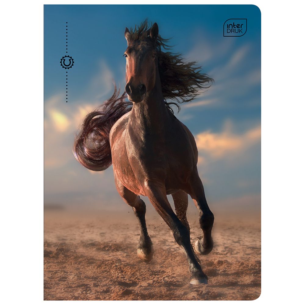 Zeszyt Interdruk WILD HORSES A5 32k. 70g krata