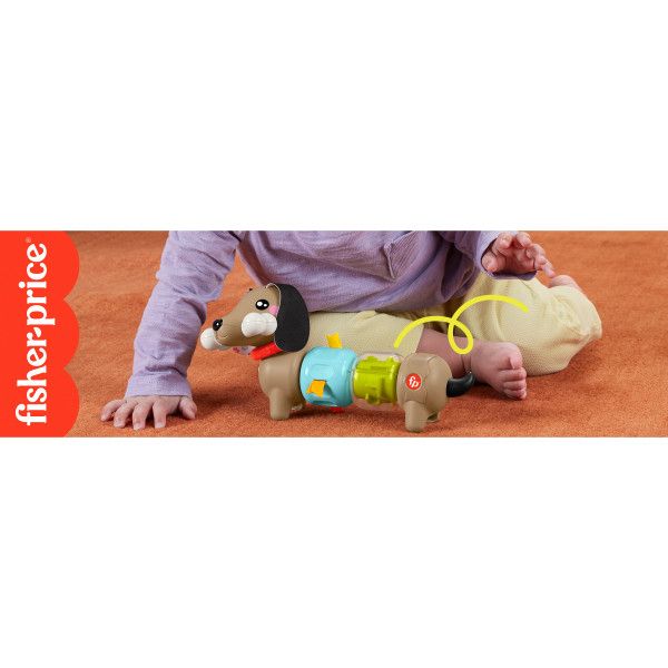 Zabawka edukacyjna Fisher Price jamnik aktywizujący (HTW91)