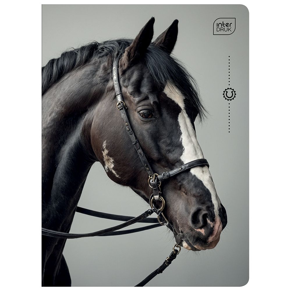 Zeszyt Interdruk WILD HORSES A5 32k. 70g krata