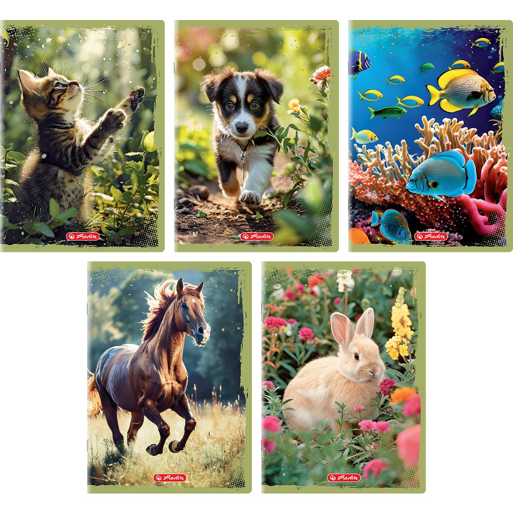 Zeszyt Herlitz Animals A5 16k. 70g gładki (400196854)