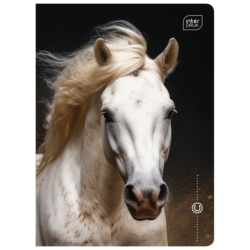 Zeszyt Interdruk WILD HORSES A5 16k. 70g linia kolor