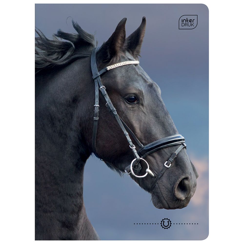 Zeszyt Interdruk WILD HORSES A5 32k. 70g krata