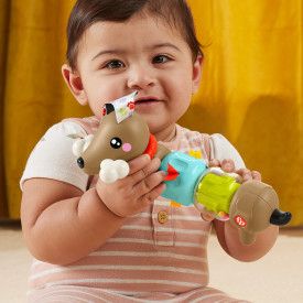 Zabawka edukacyjna Fisher Price jamnik aktywizujący (HTW91)