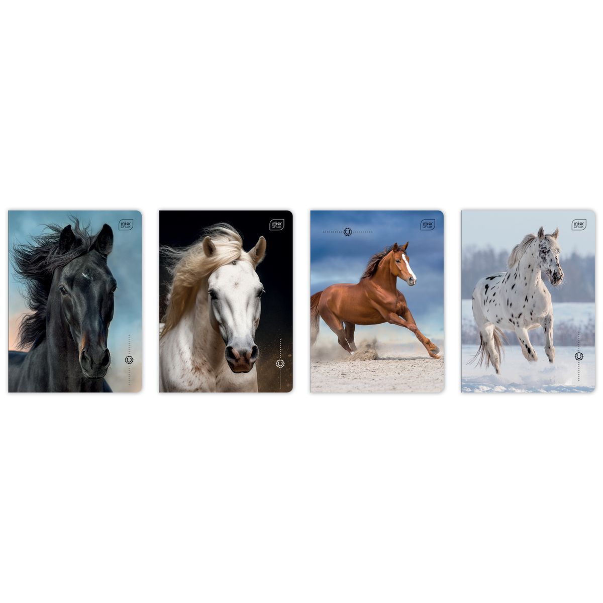 Zeszyt Interdruk WILD HORSES A5 16k. 70g linia kolor