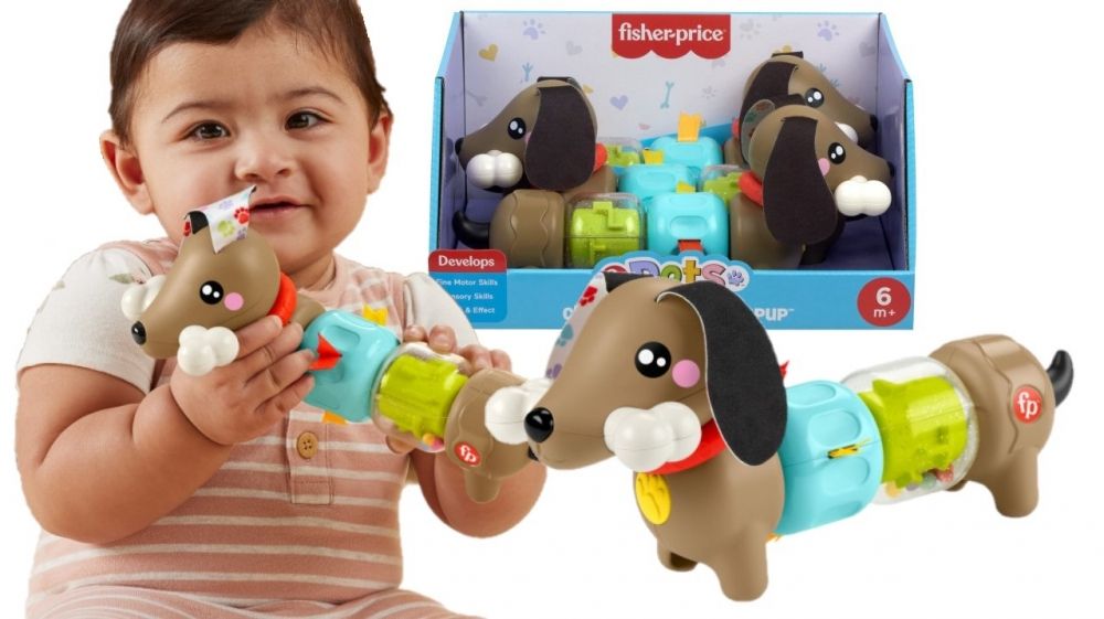 Zabawka edukacyjna Fisher Price jamnik aktywizujący (HTW91)