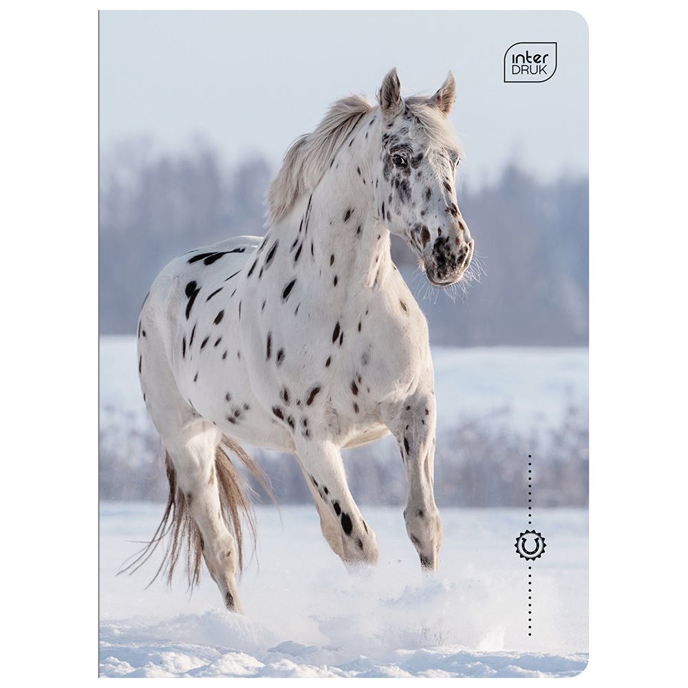 Zeszyt Interdruk WILD HORSES A5 16k. 70g linia kolor