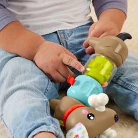 Zabawka edukacyjna Fisher Price jamnik aktywizujący (HTW91)
