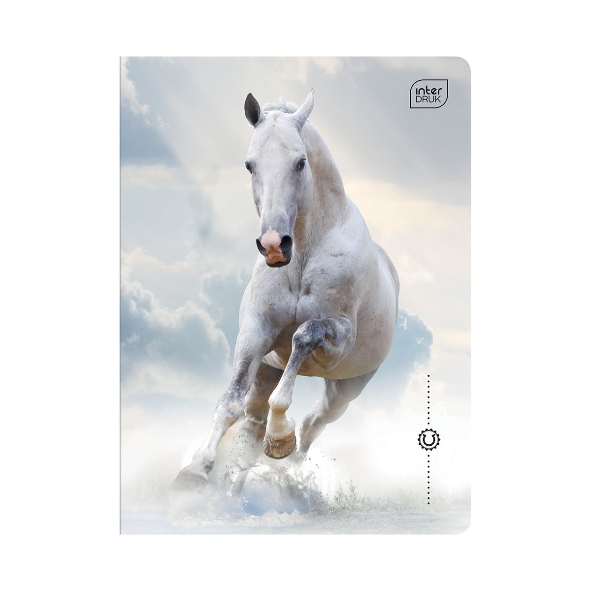 Zeszyt Interdruk WILD HORSES A5 32k. 70g krata
