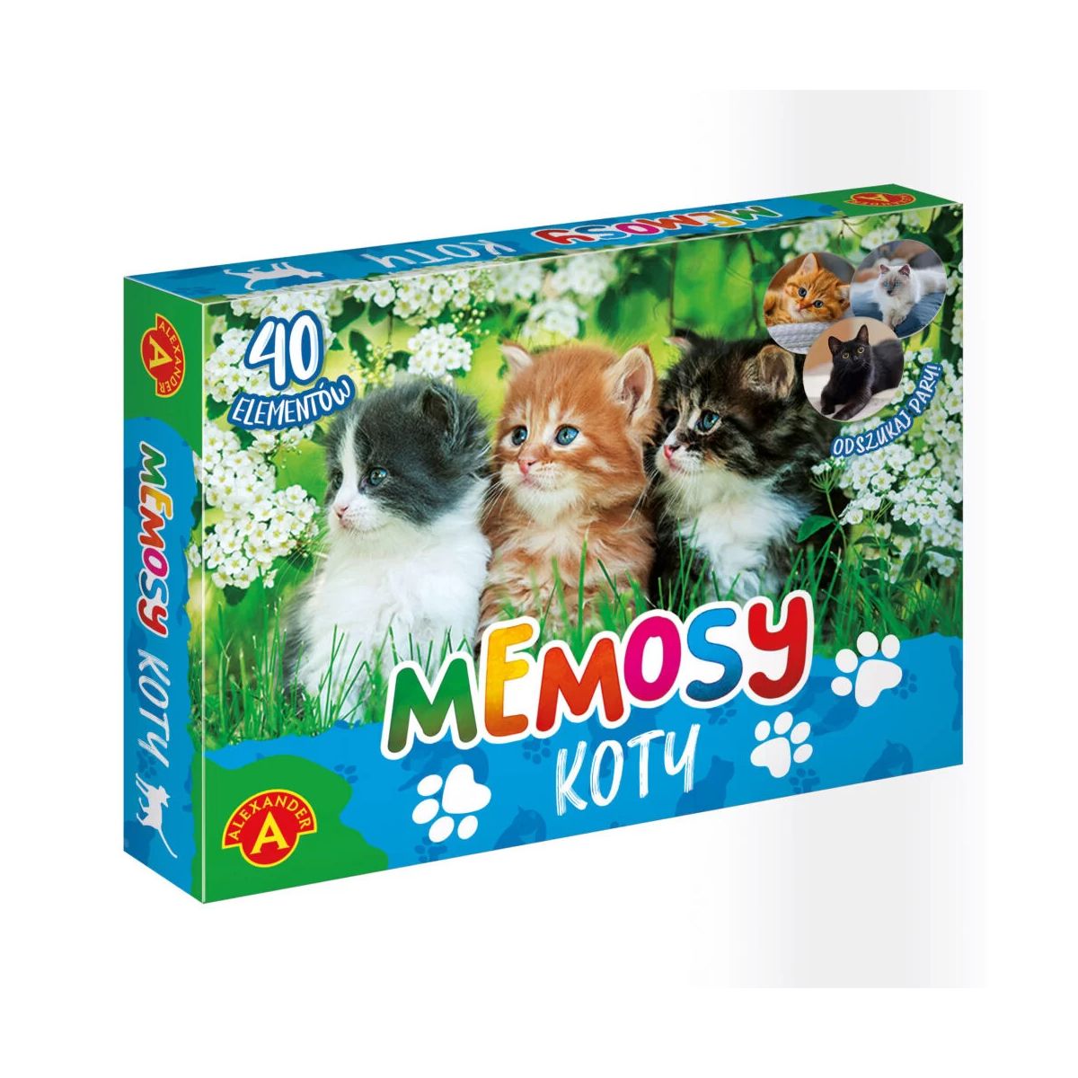 Gra edukacyjna MEMOSY – KOTY Alexander