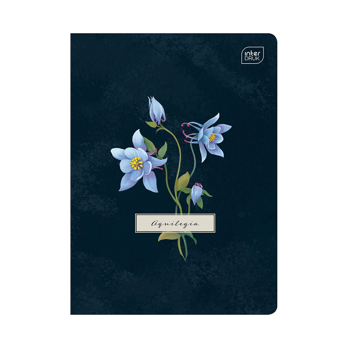 Zeszyt Interdruk HYBRYD FIORI A5 60k. 70g linia