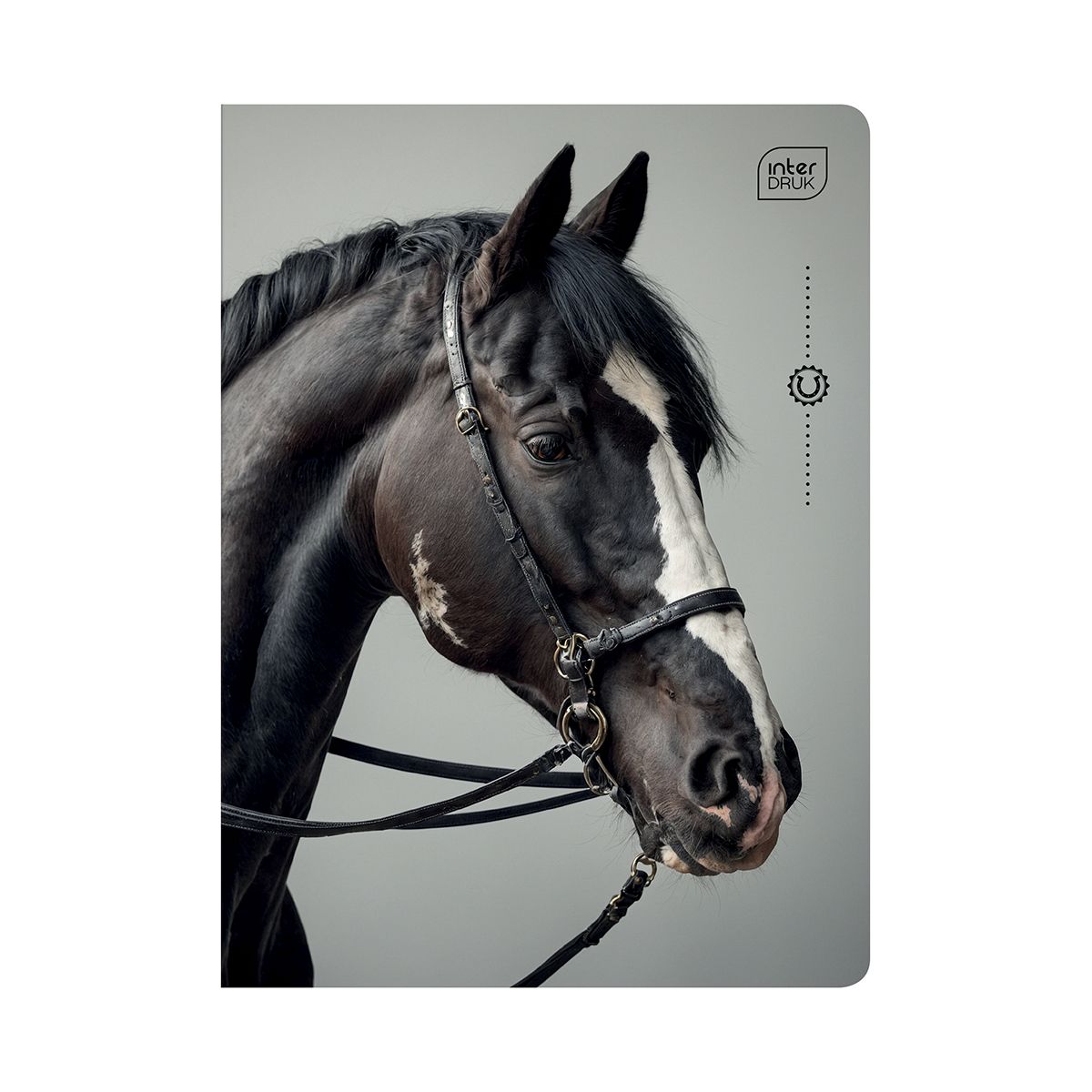 Zeszyt Interdruk WILD HORSES A5 32k. 70g krata