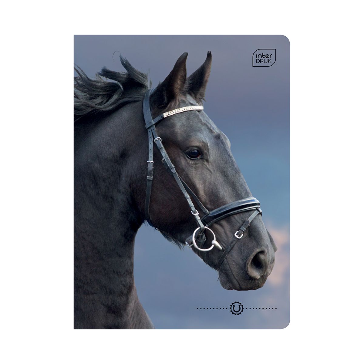 Zeszyt Interdruk WILD HORSES A5 32k. 70g krata