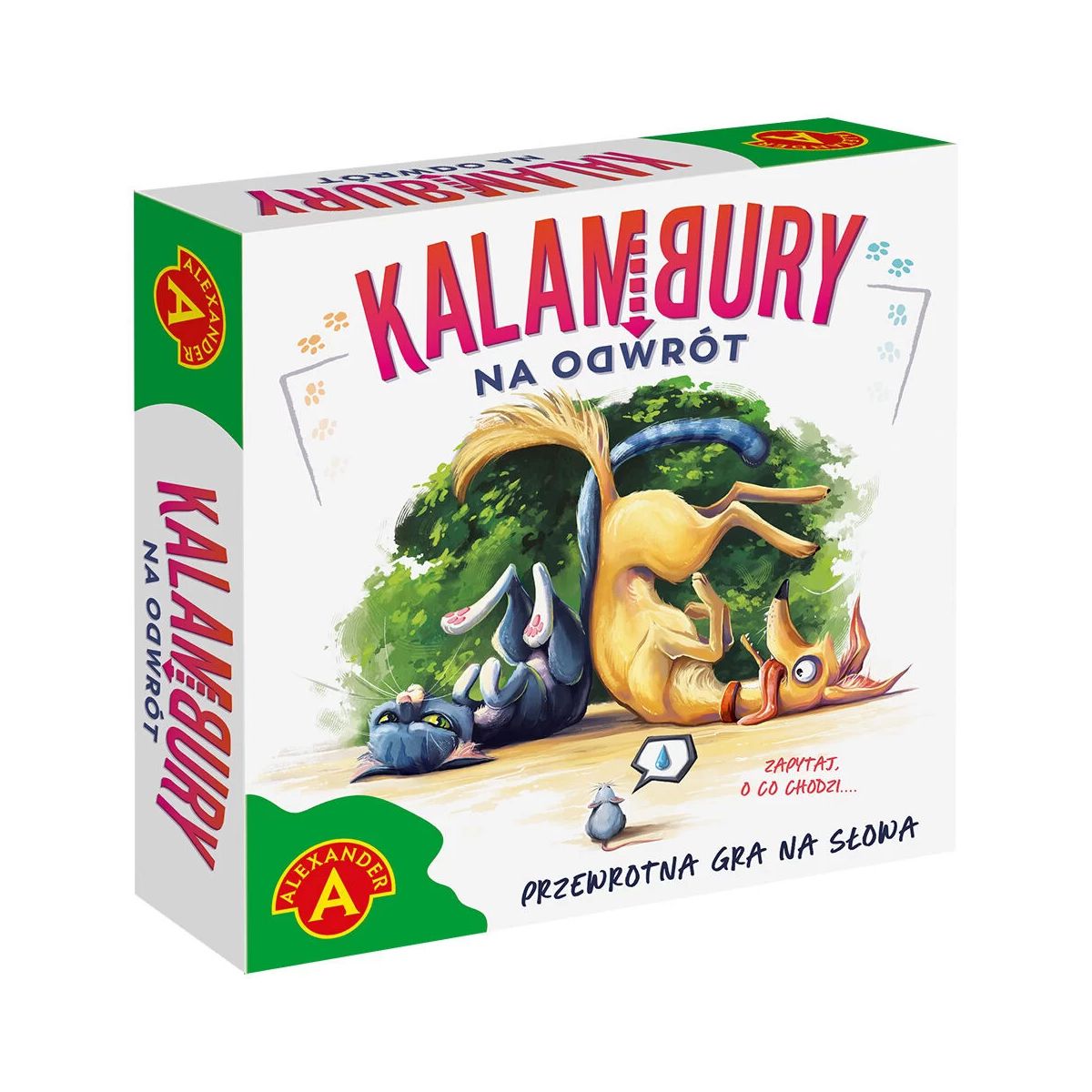 Gra edukacyjna Kalambury na odwrót Alexander (25187)