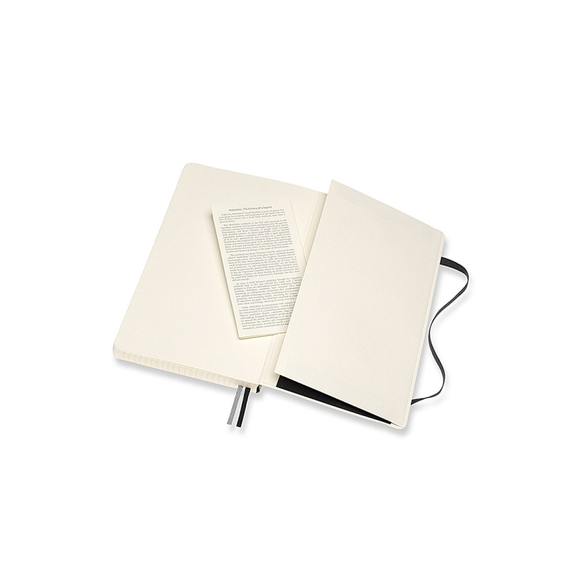 Notes (notatnik) Classic L 400k. krata [mm:] 130x210 Moleskine (MS-628059)