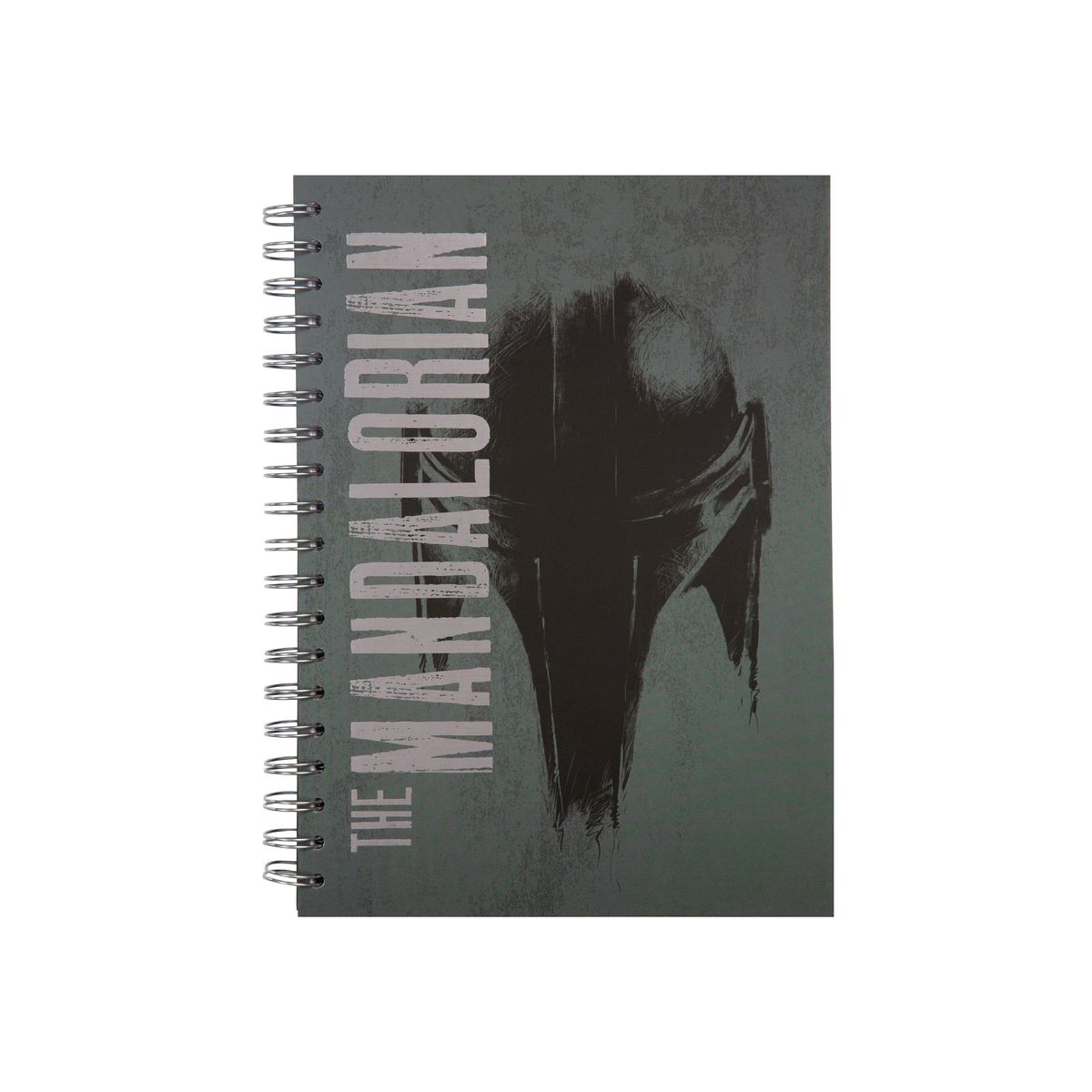 Kołozeszyt (kołobrulion) Patio Disney 100 PROJECT BOOK (60039PTR)