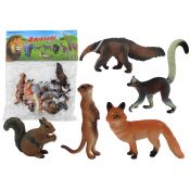 Figurka 5 Sztuk Wiewiórka Surykatka Mrówkojad Lis Lemur Lean (17912)