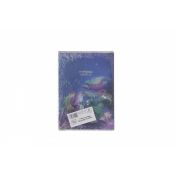 Zeszyt Interdruk METALIC FANTASY A5 60k. 70g krata