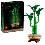 Klocki konstrukcyjne Lego Botanicals Dracena sandera (10344)