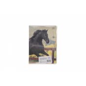 Zeszyt Interdruk WILD HORSES A5 32k. 70g linia kolor