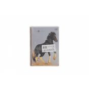 Zeszyt Interdruk GIRLS A5 32k. 70g linia kolor